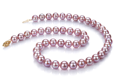 8.5-9mm AA Quality Freshwater Cultured Pearl Necklace in Lavender