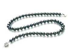 6.5-7mm AA Quality Japanese Akoya Cultured Pearl Necklace in Black