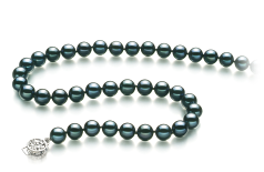 7.5-8mm AA Quality Japanese Akoya Cultured Pearl Necklace in Black