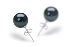 8.5-9mm AAA Quality Japanese Akoya Cultured Pearl Earring Pair in Black