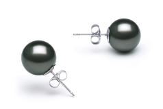 10-11mm AA Quality Tahitian Cultured Pearl Earring Pair in Black