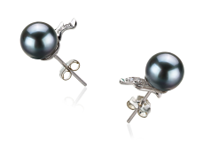 6-7mm AA Quality Japanese Akoya Cultured Pearl Earring Pair in Sydney Black