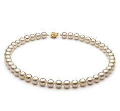 8-8.5mm AAAA Quality Freshwater Cultured Pearl Necklace in White