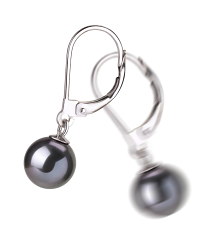 7-8mm AAAA Quality Freshwater Cultured Pearl Earring Pair in Marcella Black