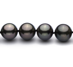 9.2-10.9mm AAA Quality Tahitian Cultured Pearl Necklace in Black