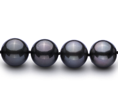 11.1-11.9mm AAA Quality Tahitian Cultured Pearl Necklace in Black