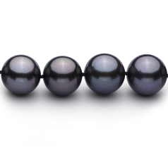 12-13.1mm AAA Quality Tahitian Cultured Pearl Necklace in Black