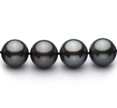 13-15.5mm AAA Quality Tahitian Cultured Pearl Necklace in Black