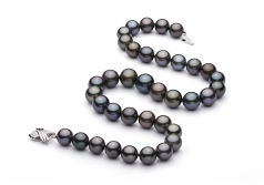 11.1-13.5mm AA+ Quality Tahitian Cultured Pearl Necklace in Multicolor