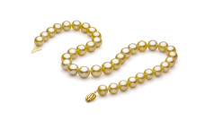 10.9-12.8mm AAA Quality South Sea Cultured Pearl Necklace in Gold