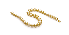11.5-15.2mm AAA+ Quality South Sea Cultured Pearl Necklace in Gold