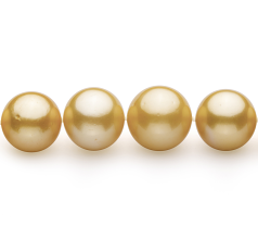 11.5-15.2mm AAA+ Quality South Sea Cultured Pearl Necklace in Gold