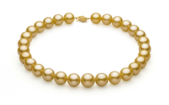 14-15.7mm AAA+ Quality South Sea Cultured Pearl Necklace in Gold