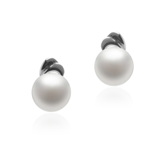 5-6mm AAA Quality Freshwater Cultured Pearl Earring Pair in Aria White