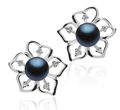 7-8mm AAAA Quality Freshwater Cultured Pearl Earring Pair in Sunflower Black