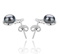 7-8mm AAA Quality Freshwater Cultured Pearl Earring Pair in Bikita Black