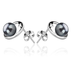6-7mm AAAA Quality Freshwater Cultured Pearl Earring Pair in Sharon Black