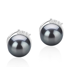 7-8mm AAAA Quality Freshwater Cultured Pearl Earring Pair in Leslie Black