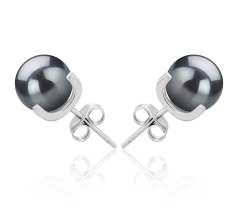 7-8mm AAAA Quality Freshwater Cultured Pearl Earring Pair in Britt Black