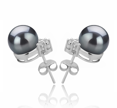 8-9mm AAAA Quality Freshwater Cultured Pearl Earring Pair in Evelyn Black