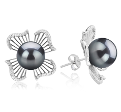 10-11mm AAA Quality Tahitian Cultured Pearl Earring Pair in Abigail Black