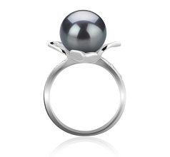 10-11mm AAA Quality Tahitian Cultured Pearl Ring in Billy Black