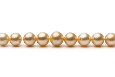 10.1-14.6mm AA Quality South Sea Cultured Pearl Necklace in 18-inch Gold