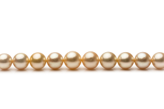 9.3-13.3mm AA Quality South Sea Cultured Pearl Necklace in 18-inch Gold