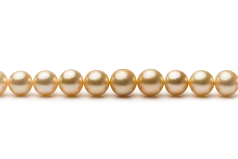 9.3-13.2mm AA+ Quality South Sea Cultured Pearl Necklace in 18-inch Gold