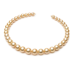 9.7-13.9mm AA Quality South Sea Cultured Pearl Necklace in 18-inch Gold