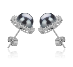 7-8mm AAAA Quality Freshwater Cultured Pearl Earring Pair in Dreama Black