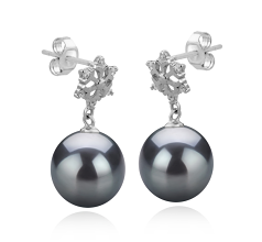 10-11mm AAA Quality Tahitian Cultured Pearl Earring Pair in Snow Black