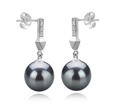 9-10mm AAA Quality Tahitian Cultured Pearl Earring Pair in Erma Black