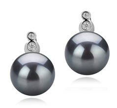 10-11mm AAA Quality Tahitian Cultured Pearl Earring Pair in Hailey Black