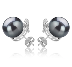 10-11mm AAA Quality Tahitian Cultured Pearl Earring Pair in Berry Black